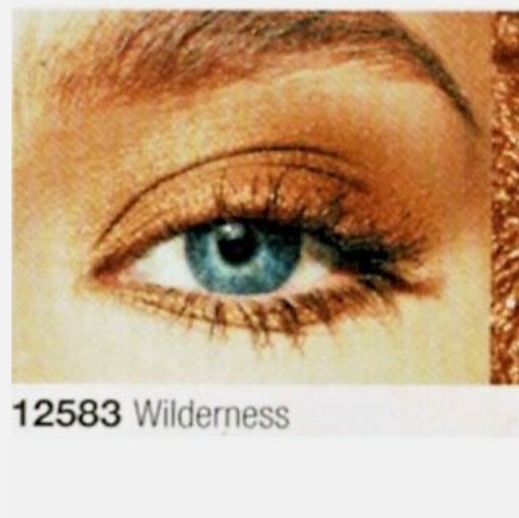 Precious Earth Avon Metallic Shadow Stick - Picture 7 of 7